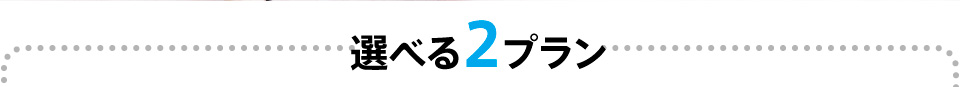 選べる2プラン