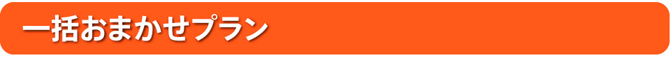 一括おまかせプラン